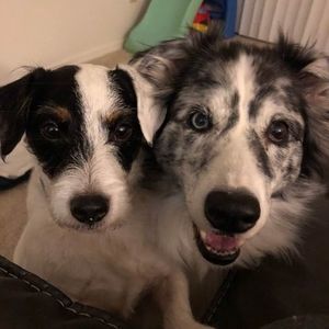 Meet your Posher, Angel y danette